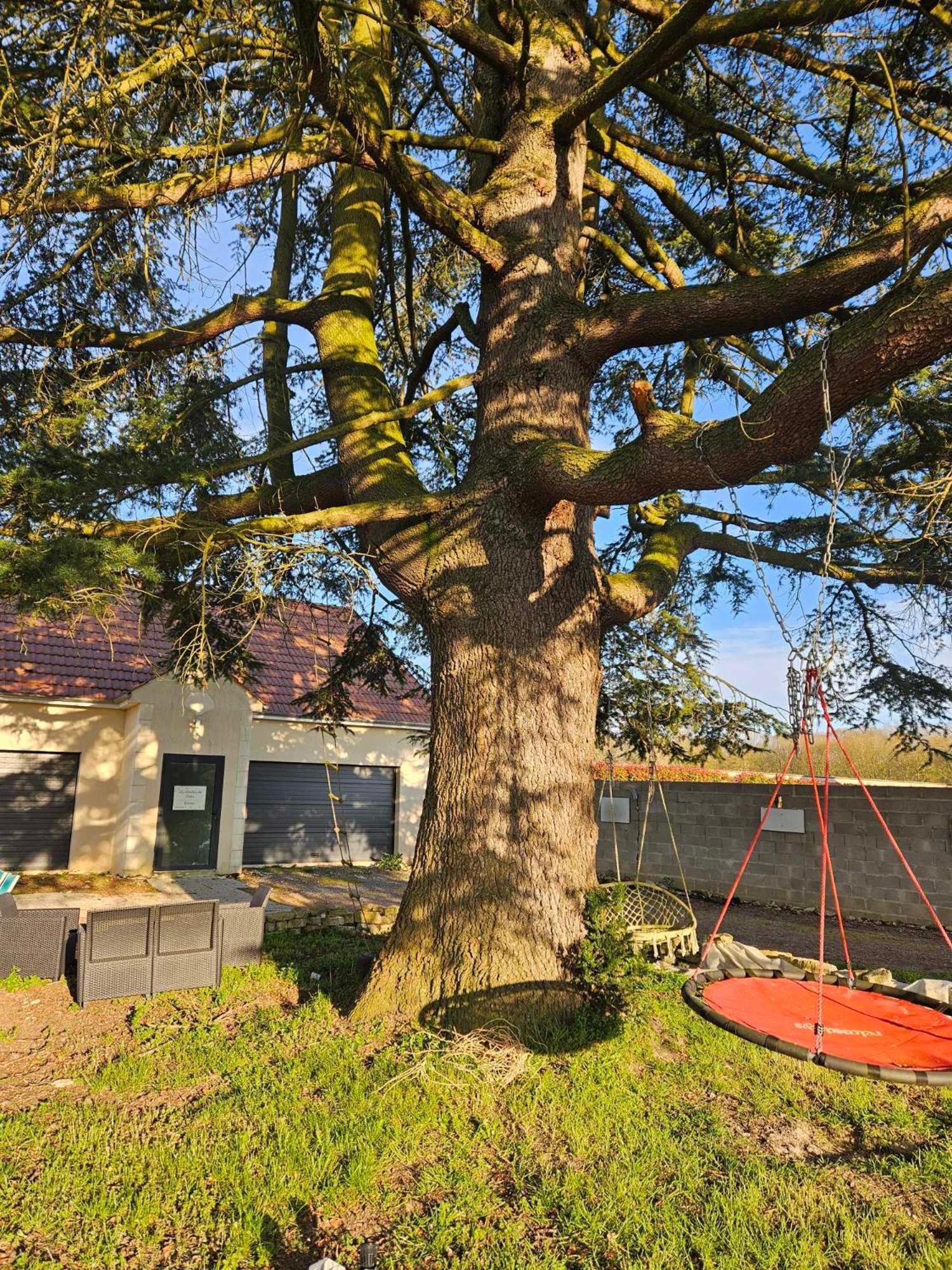 Studios Du Cedre Cuvilly Exteriör bild